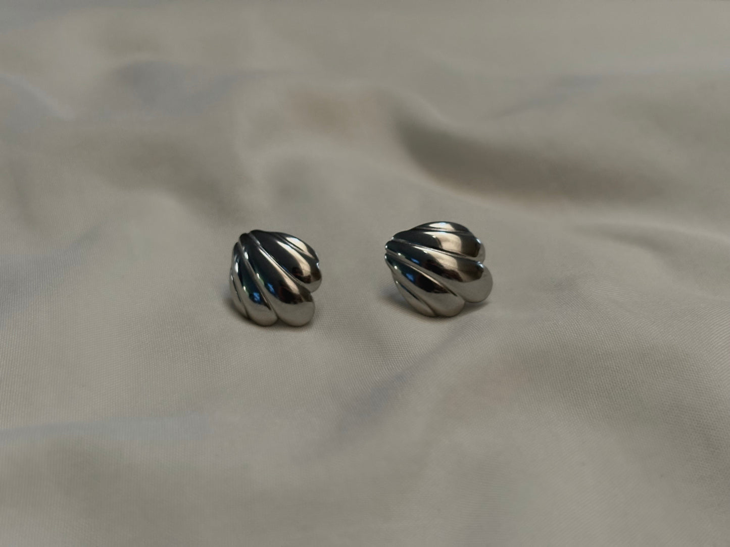 Aretes conchi